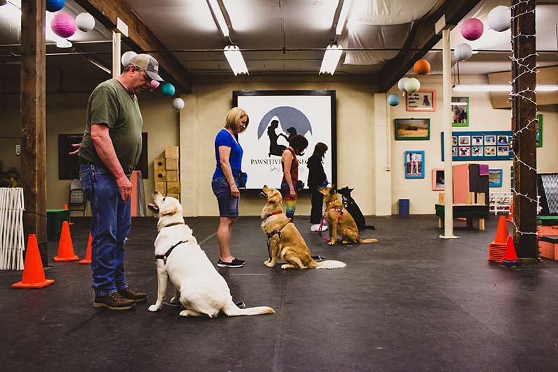 Dog Training Fun - Pawsitive Connection - Spokane, WA