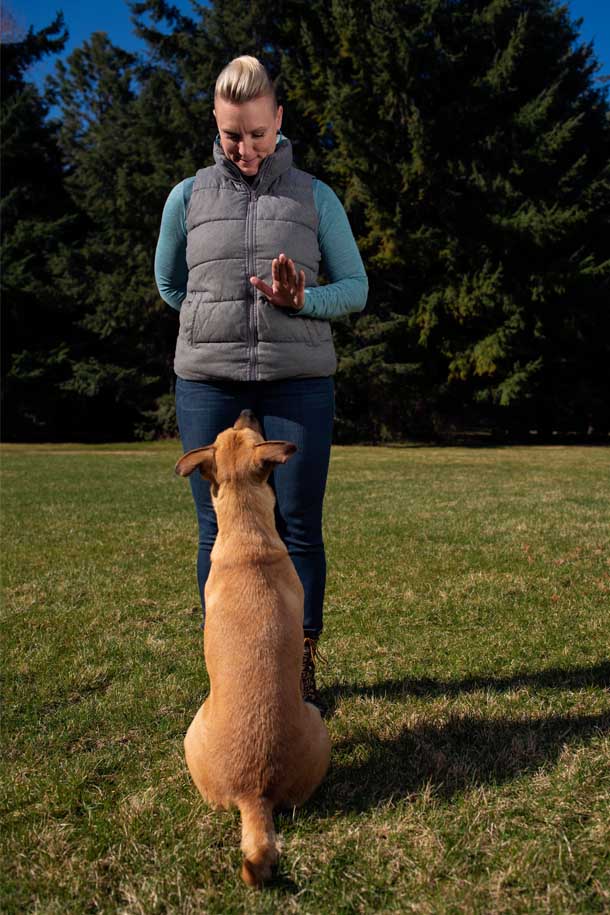 Pawsitive Connection Dog Training - Spokane, WA