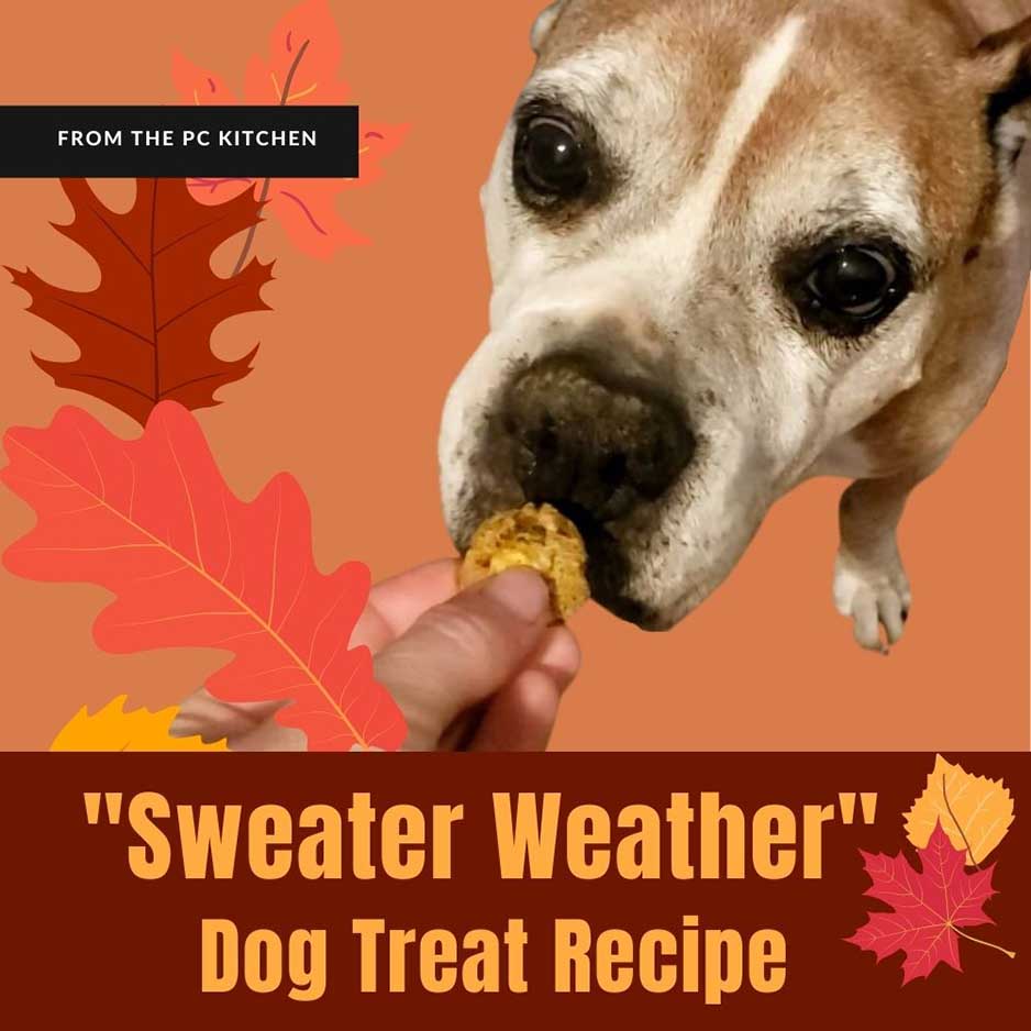 Sweater Weather Dog Treat Recipe