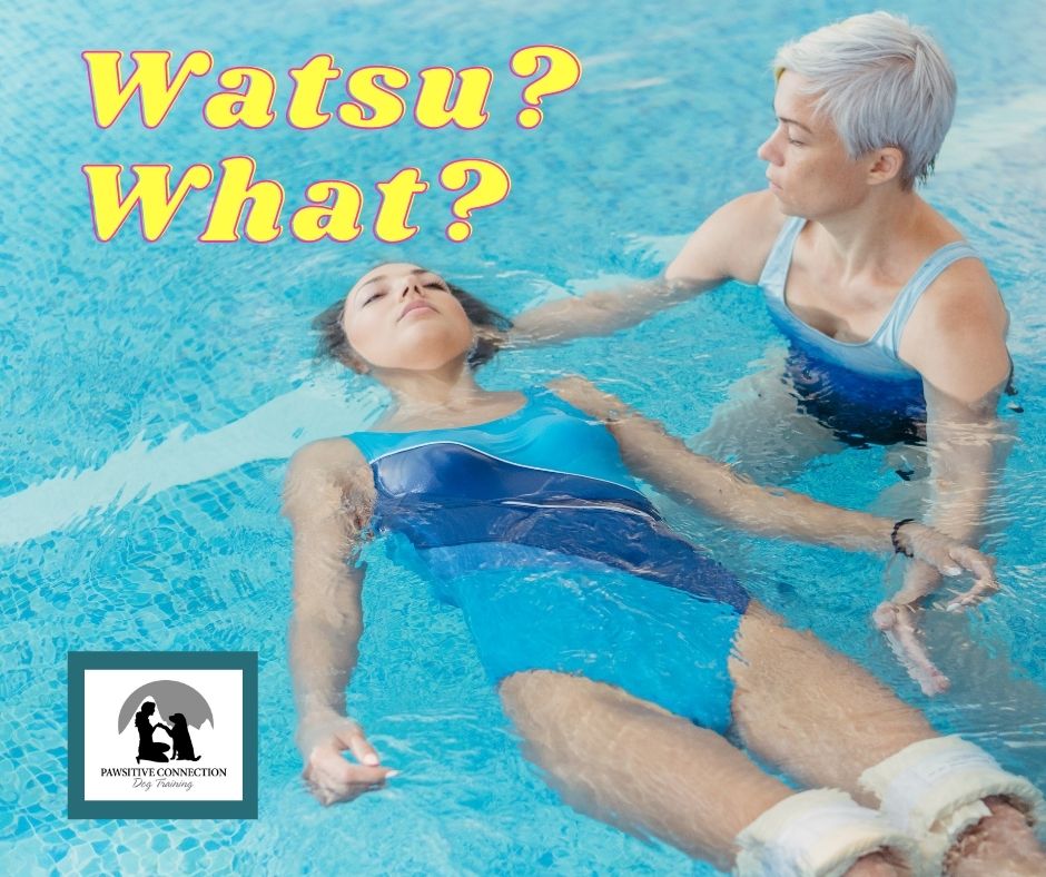 Whatsu What Treament - Canine Hydrotherapy Pool