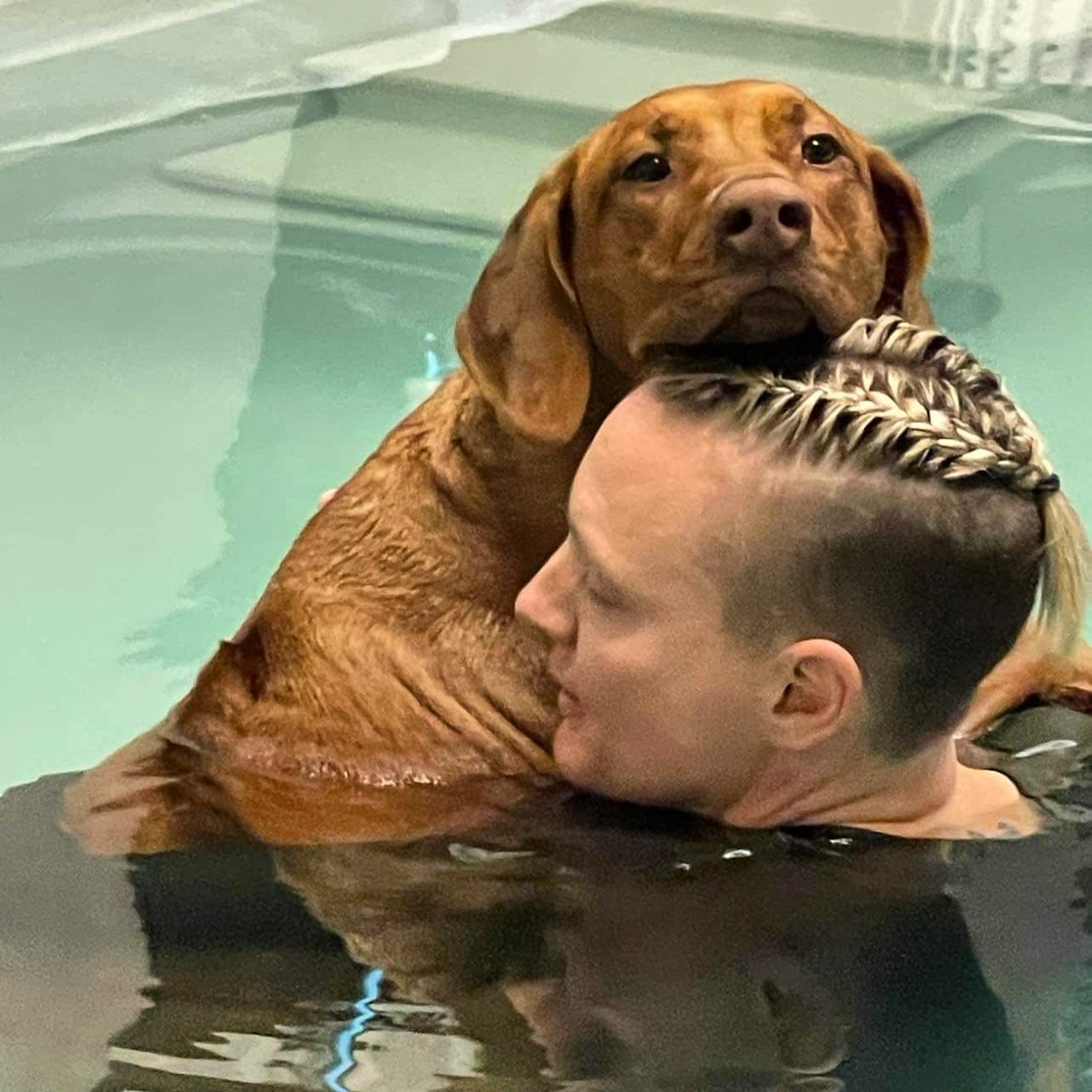 Dog Water Massage