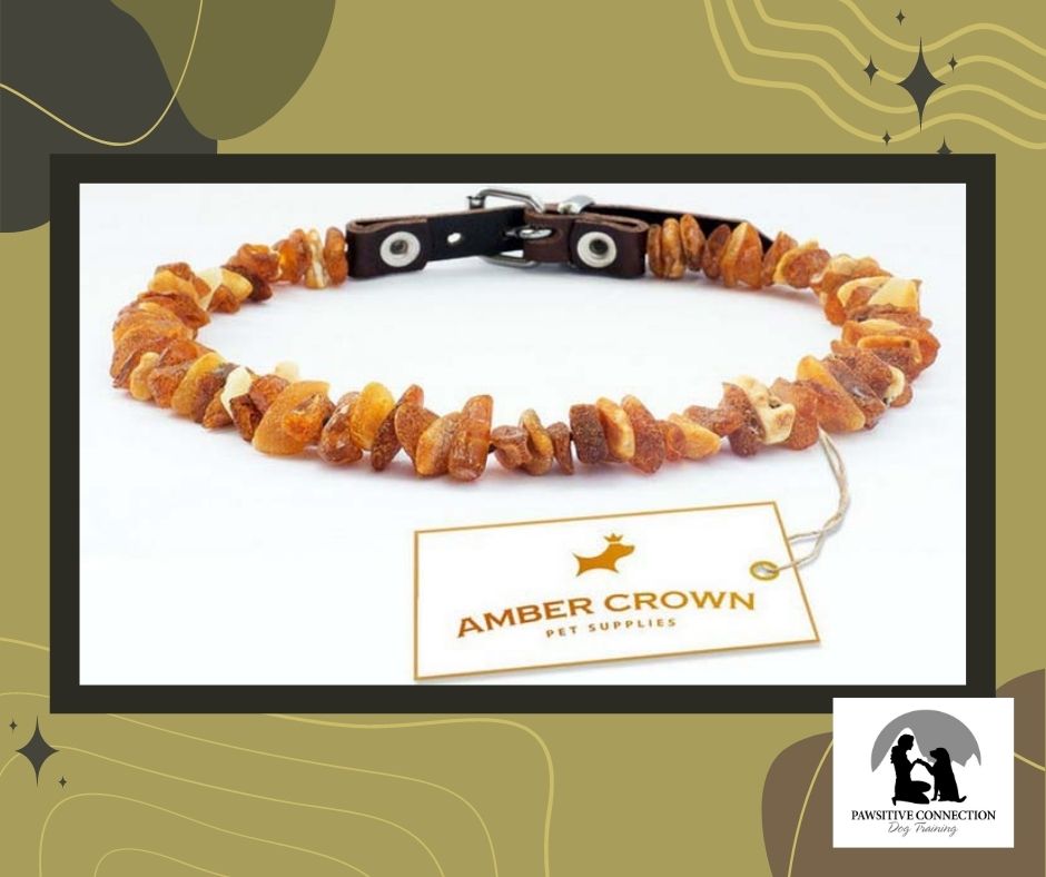 Amber Collar for Ticks & Pests for your Pup