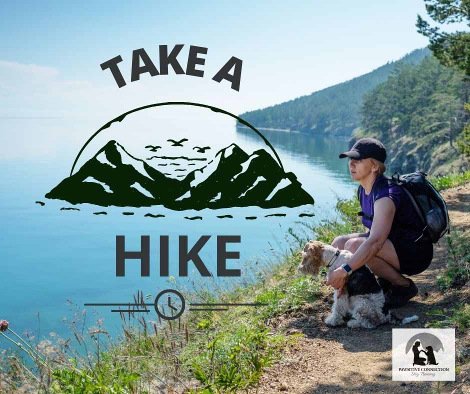 Take a Hike with Your Dog