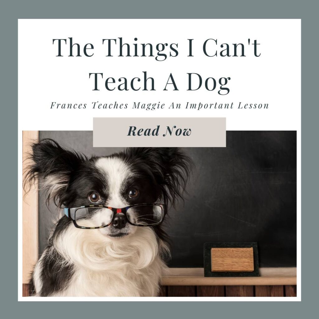 The things I can't teach your dog