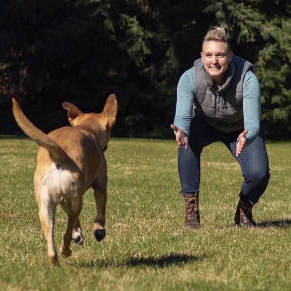 Stephanie Nilles - Dog Trainer in Spokane